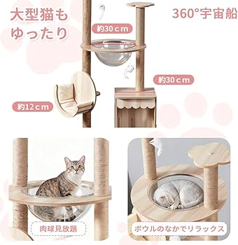 Amazon | Yilucess 猫タワー キャットタワー 360°透明宇宙船 猫 爪とぎ