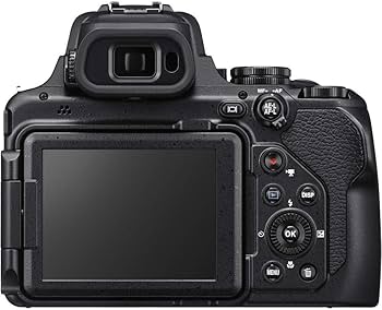 Amazon.com : Nikon COOLPIX P1000 Digital Camera (26522) + 4K