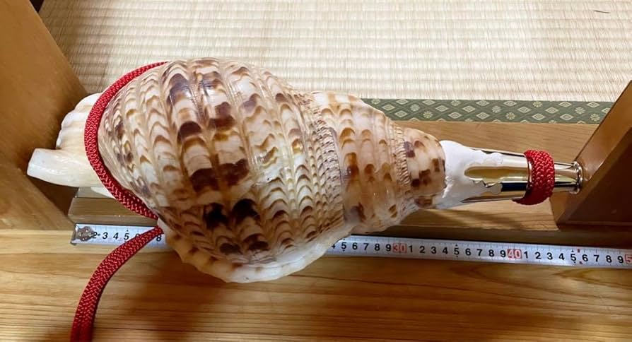 値下げ、古い法螺貝、ほら貝、山伏修行、魔よけ、和楽器 法螺貝 ほら貝