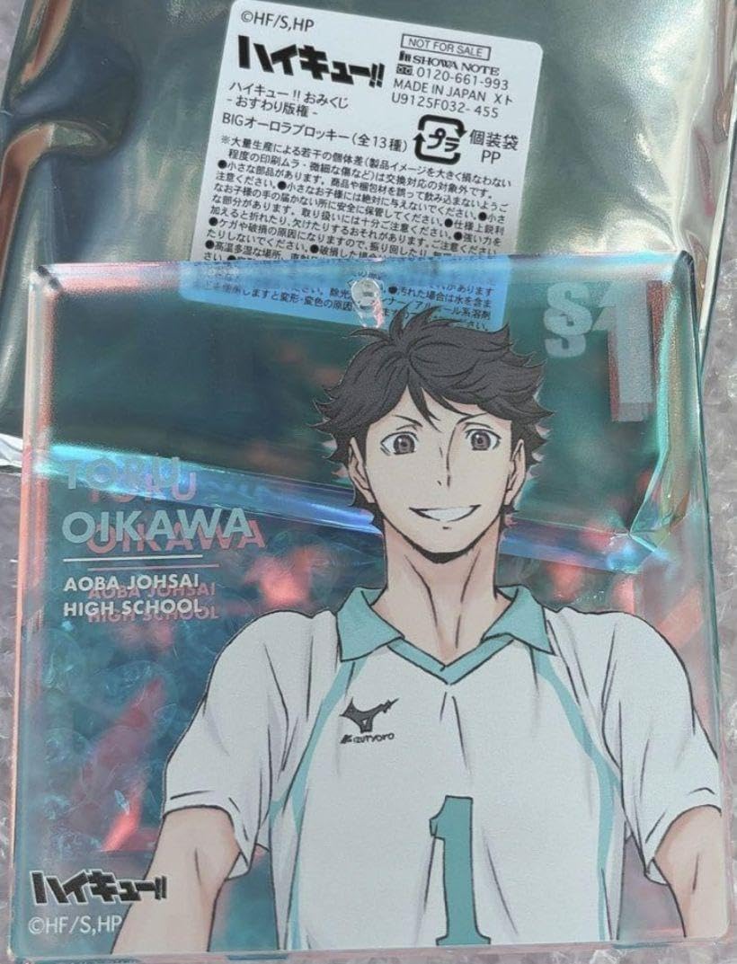 ハイキュー ファンパーク ショウワノート オーロラブロッキー 月島蛍