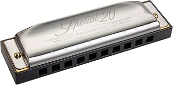 Amazon.com: Hohner 560PBX Special 20 Harmonica, Key of B Flat