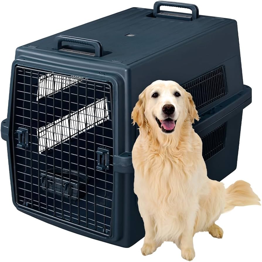 Amazon.co.jp: アイリスオーヤマ エアトラベルキャリー ATC-870