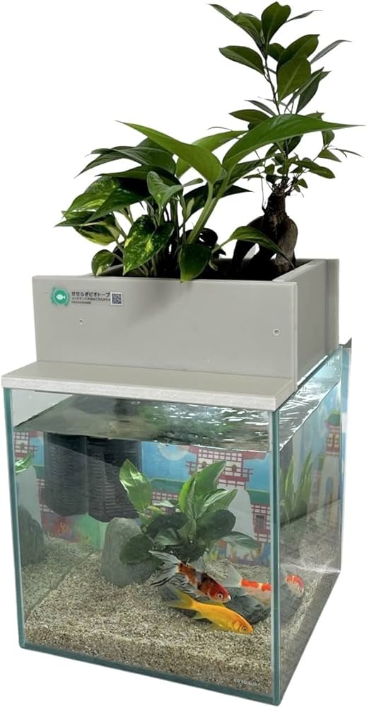 Amazon | せせらぎビオトープ 水替え不要【水槽セット】 25cm型 【基本