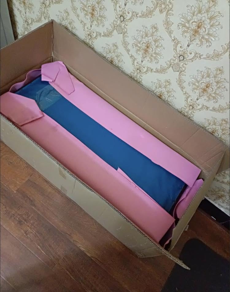 極美品 飴色の縫合線が見事なアンモナイトの女王 インターメディウム