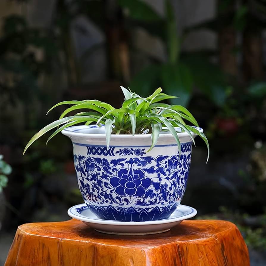 白交趾(水盤) 植木鉢 白交趾(水盤) 植木鉢 白交趾(水盤) 植木鉢 白交趾