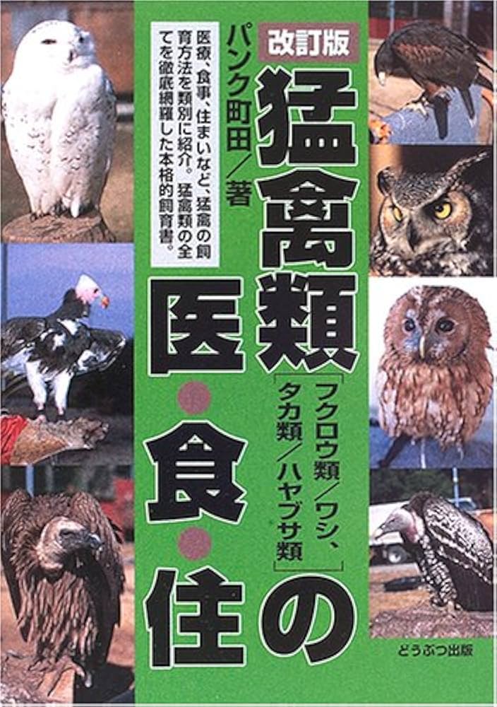 フクロウ、鷹、ハヤブサ、猛禽類 ファルコンベスト フォーキングベスト