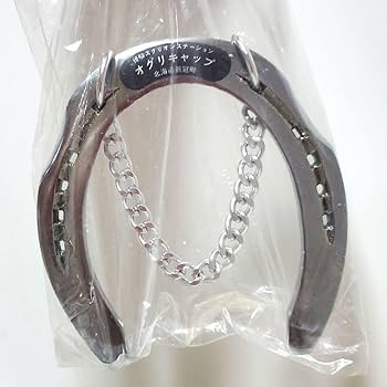 Amazon.co.jp: オグリキャップ 蹄鉄 壁掛け 優駿スタリオン