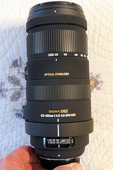 Amazon.com : Sigma 120-400mm f/4.5-5.6 AF APO DG OS HSM Telephoto