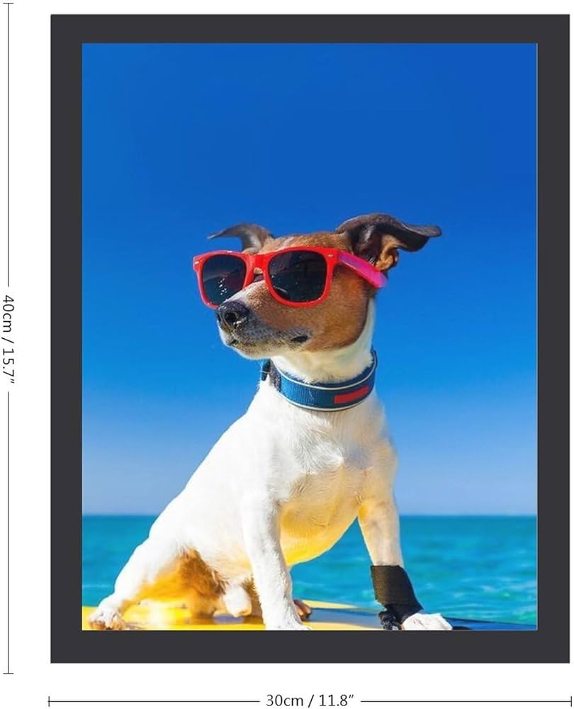 B2サイズ（約51x73cm）】【lm-poster-1939】【フレーム付き】カラフル