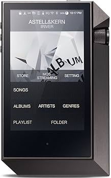 Amazon.co.jp: iriver Astell&Kern AK240 256GB ガンメタル(DSD