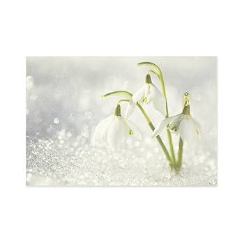 キャンバス油絵 専用 春を告げる花スノードロップ キャンバス油絵 専用