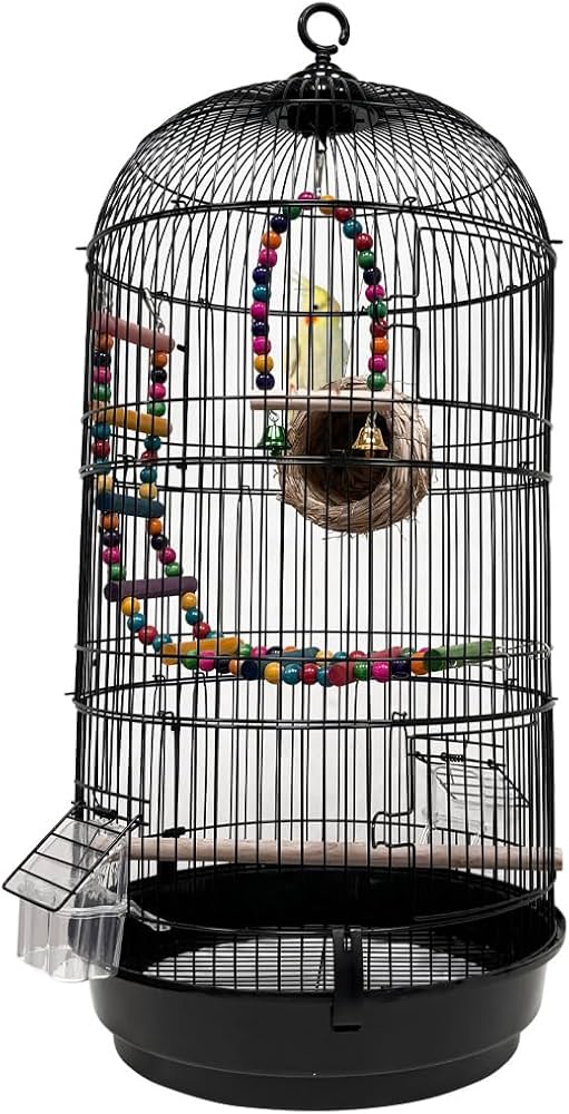 Amazon | RAKU バードケージ 鳥カゴ 鳥小屋 複数飼い 止まり木