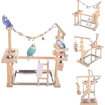 ことりのおおきなあそびば 文鳥 インコ バードジム バードアスレチック