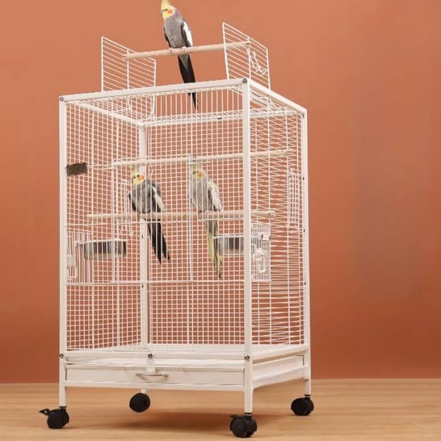 Amazon | Aeroor鳥かご バードケージ 小鳥のおり 美しい鳥かご クリア