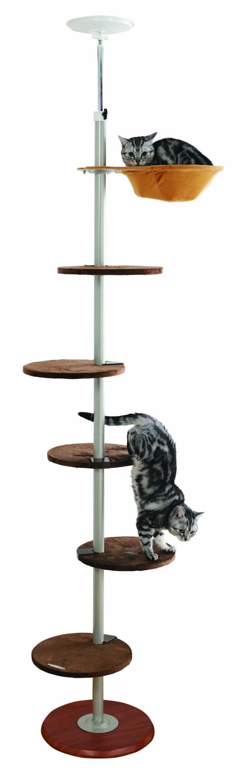 Amazon | キャットポール | ボンビアルコン (Bonbi) | キャットタワー 通販