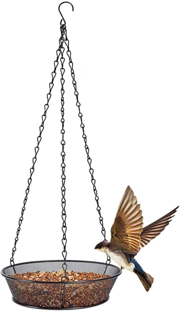 Amazon.co.jp: Allystyle バードフィーダー 鳥の餌箱 野鳥 給餌器 餌台