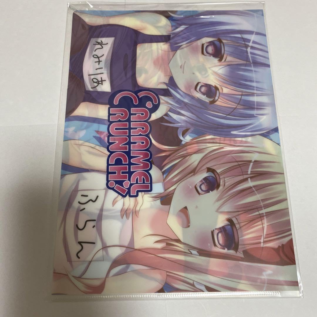 東方project レミリア 水着 美少女 クリアファイル VZ11 東方project