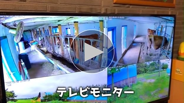 Amazon.co.jp: 【最新500万画素】 防犯カメラ 屋外 POE給電 3K 12型