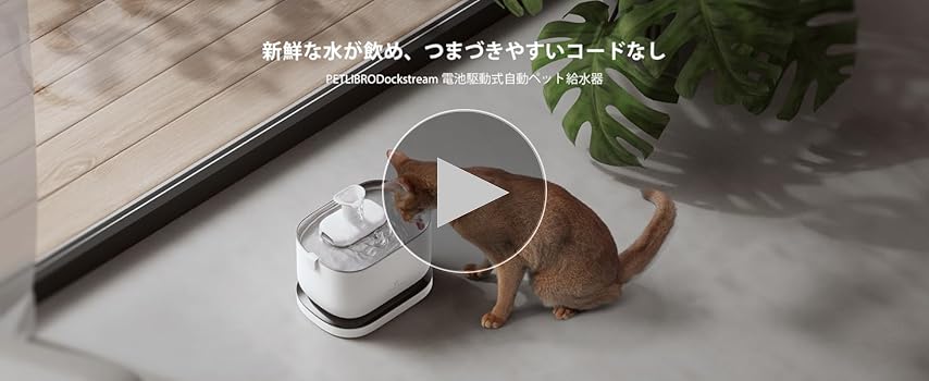 MIRU Lケージ×2 給水器L×4 MIRU Lケージ×2 給水器L×4 楽天市場】【獣