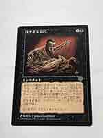 送料込み 浅すぎる墓穴 日本語版1枚、英語版2枚 送料込み