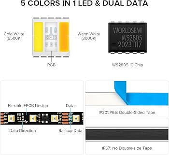Amazon.com: BTF-LIGHTING WS2805 IC RGBCCT Addressable Dual Data
