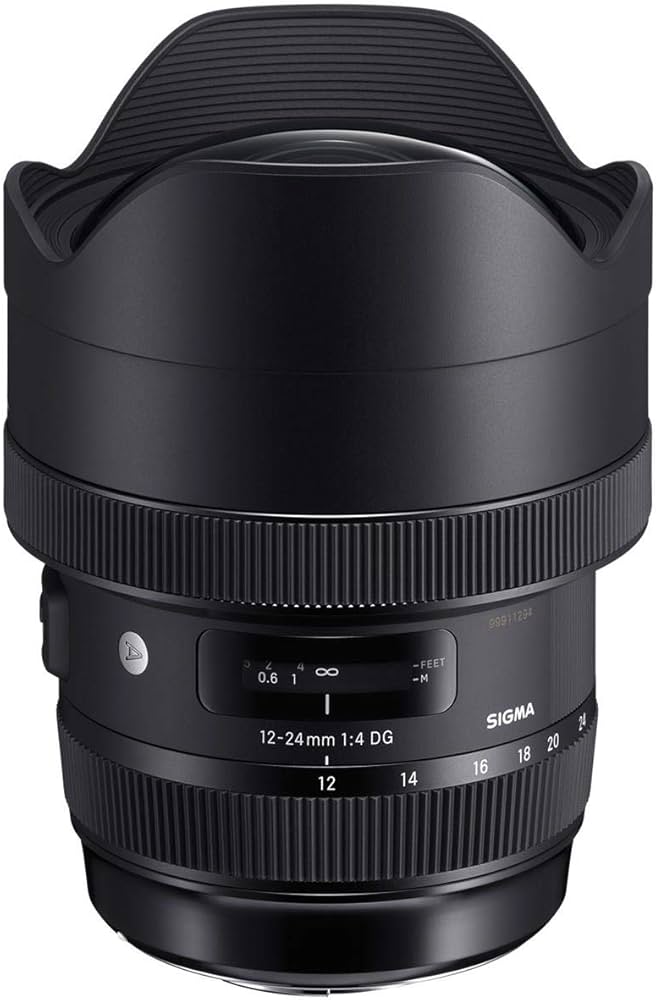 Amazon.com : Sigma 12-24mm f/4 DG HSM Art Lens for Nikon F (205955