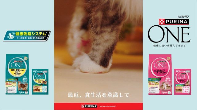 Amazon | ピュリナ ワン 高齢猫用(11歳以上) 優しく腎臓の健康サポート