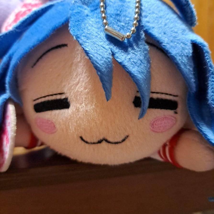 Amazon.co.jp: らき☆すた TVアニメ10周年記念 寝そべりぬいぐるみ