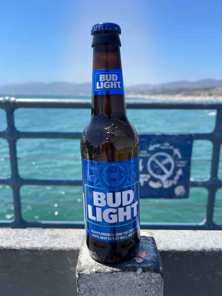 バドライト☆BUDLIGHT 缶ビール 30本 輸入ビール アメリカ