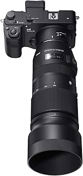 Amazon.com : Sigma 100-400mm f/5-6.3 DG OS HSM Contemporary Lens