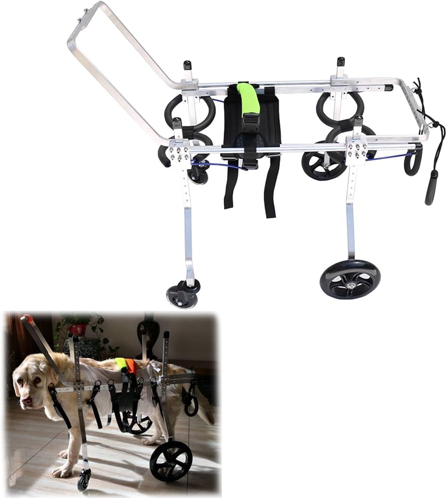 Amazon.co.jp: 犬 車椅子 歩行器 4輪犬用車椅子、 フルサポート調整