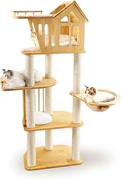 61aS-QR5xXL._AC_UF350,