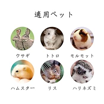 生葉/野草 ○セミオーダーページ○ ウサギ ハムスター リクガメ