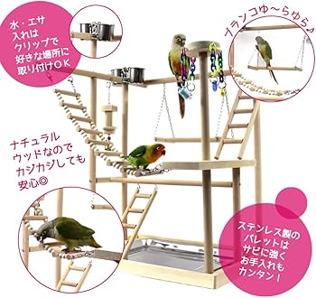 小鳥用】ブランコ付くねくねバードアスレチック Amazon | fuu バード