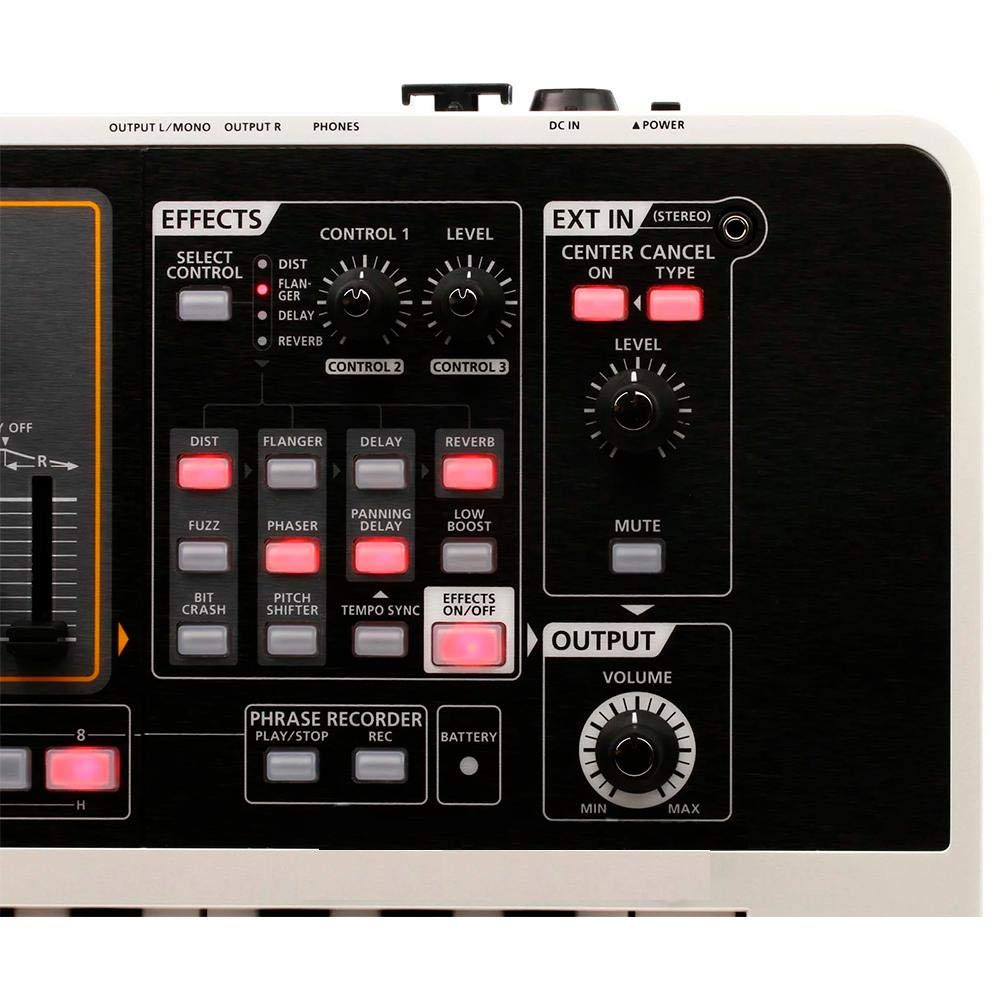 Amazon.co.jp: Roland ローランド シンセサイザー GAIA SH-01 : 楽器