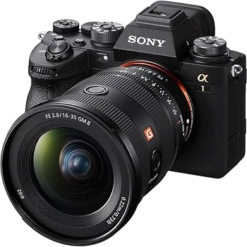 Amazon.co.jp: SONY(ソニー) 広角ズームレンズ フルサイズ FE 16-35mm