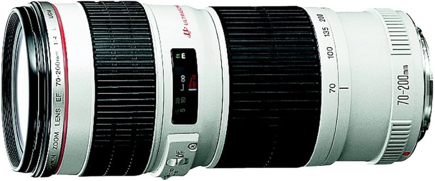 Amazon.com : Canon EF 70-200mm f/4 L IS USM Lens for Canon Digital