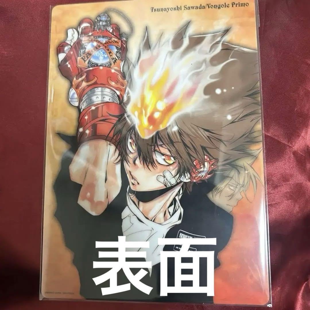 家庭教師ヒットマンREBORN! 沢田綱吉 獄寺隼人 Amazon.co.jp: 沢田綱吉