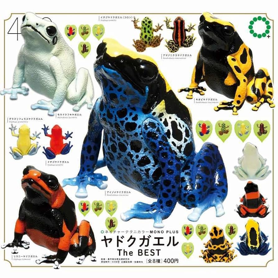 超能力蛙 旧枠 英語 4枚 超能力蛙/Psychic Frog 英 4枚 絵違い 超能力