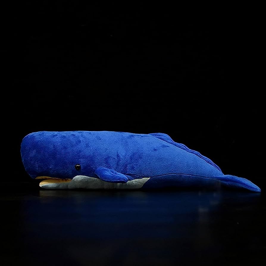 Amazon.co.jp: ZHONGXIN MADE 深海魚かわいいマッコウクジラぬいぐるみ