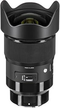 Amazon.com : 20mm F1.4 Art DG HSM for Sony E : Electronics