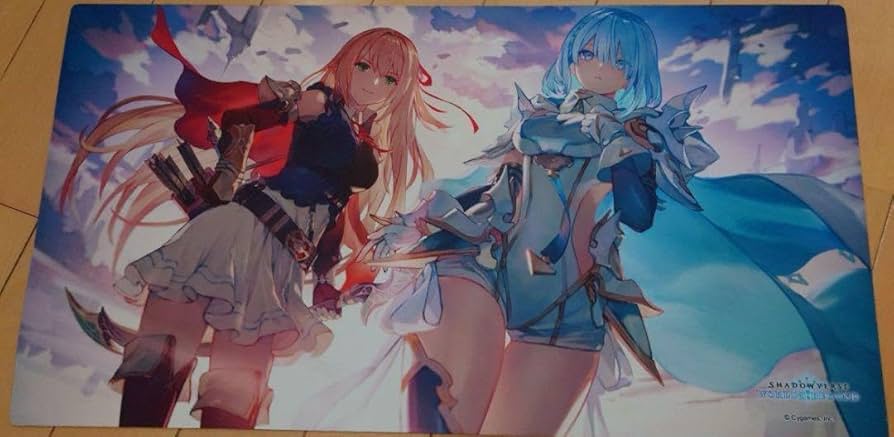 シャドバWB ドライツェーン 2025 ラバーマット シャドバWB ドライ