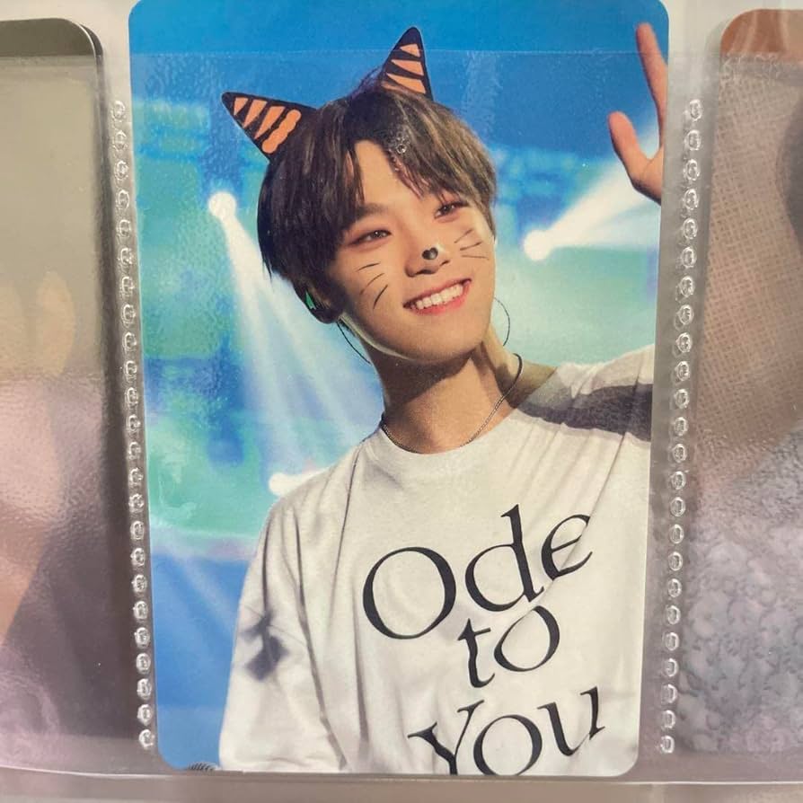 SEVENTEEN ディノ トレカ