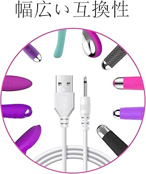 Amazon.co.jp: SZSL ハンディマッサージャー用USB充電ケーブル 交換用