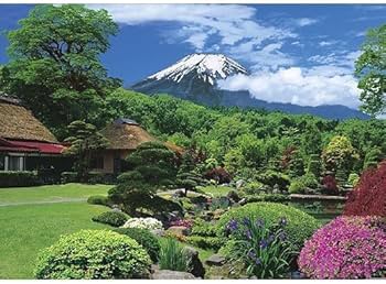 61dGQaxwHtL._AC_UF350,