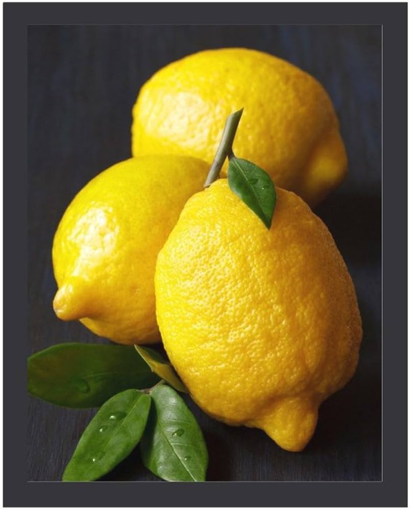 Amazon.co.jp: レモン3個 絵画 絵 静物写真 明暗法 アートパネル