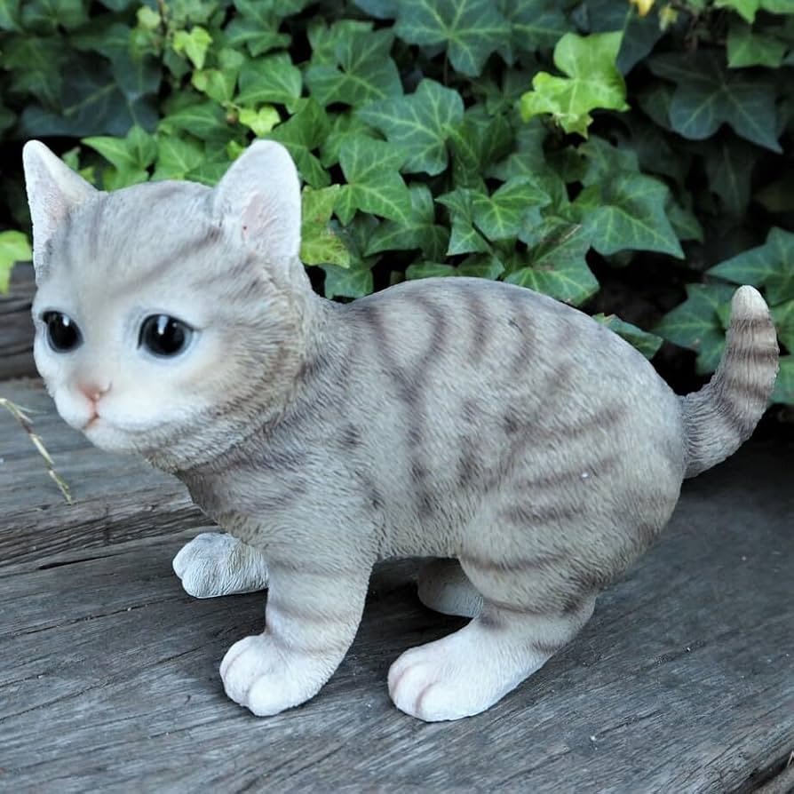 Amazon.co.jp: 猫の置物 アメショ 子猫 1227QYL アメリカン
