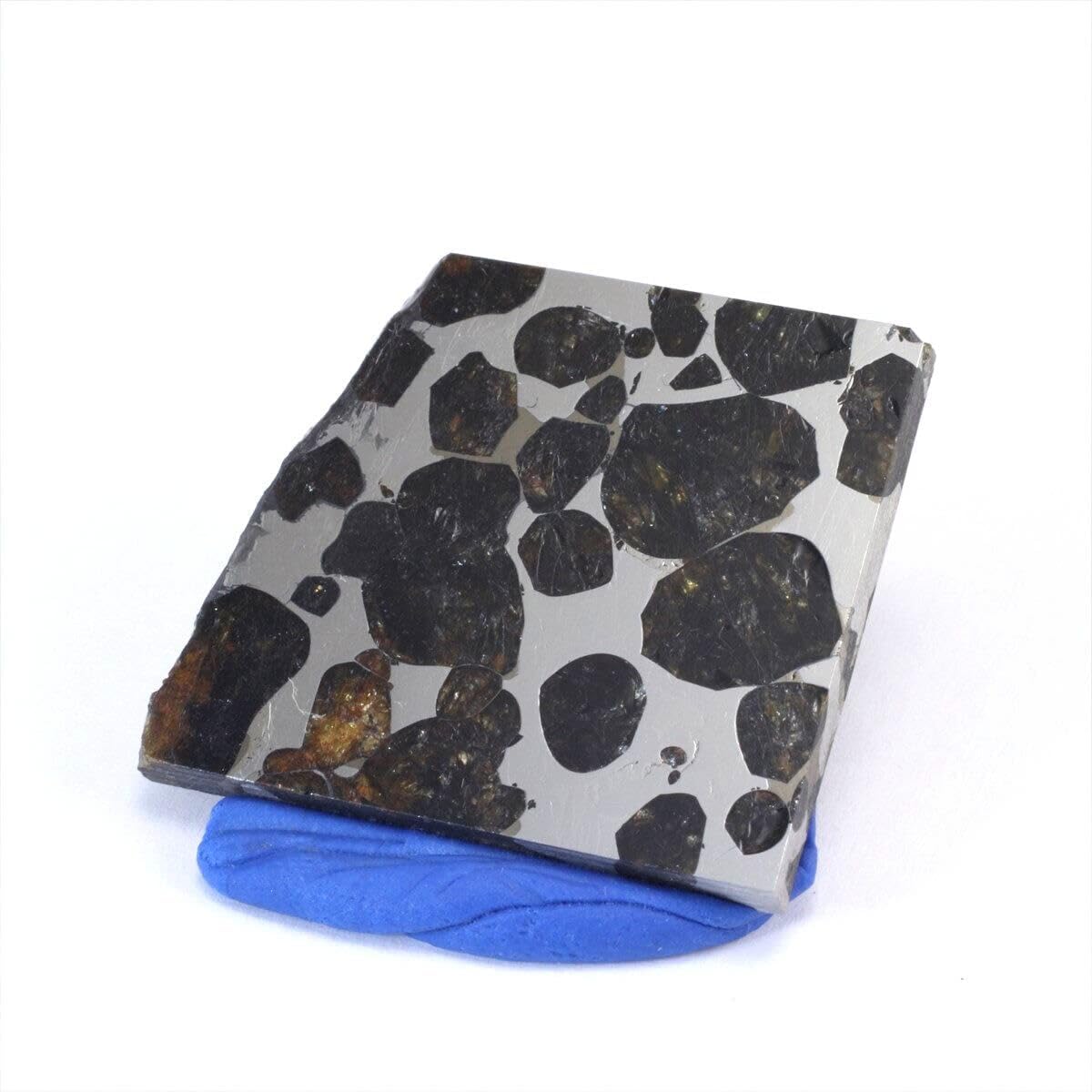 セリコ隕石 パラサイト隕石 スライス 標本 【公式通販】