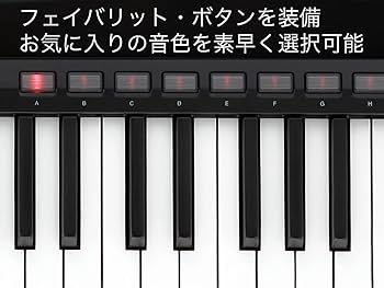 Amazon.co.jp: KORG（コルグ）キーター シンセサイザー ステージ