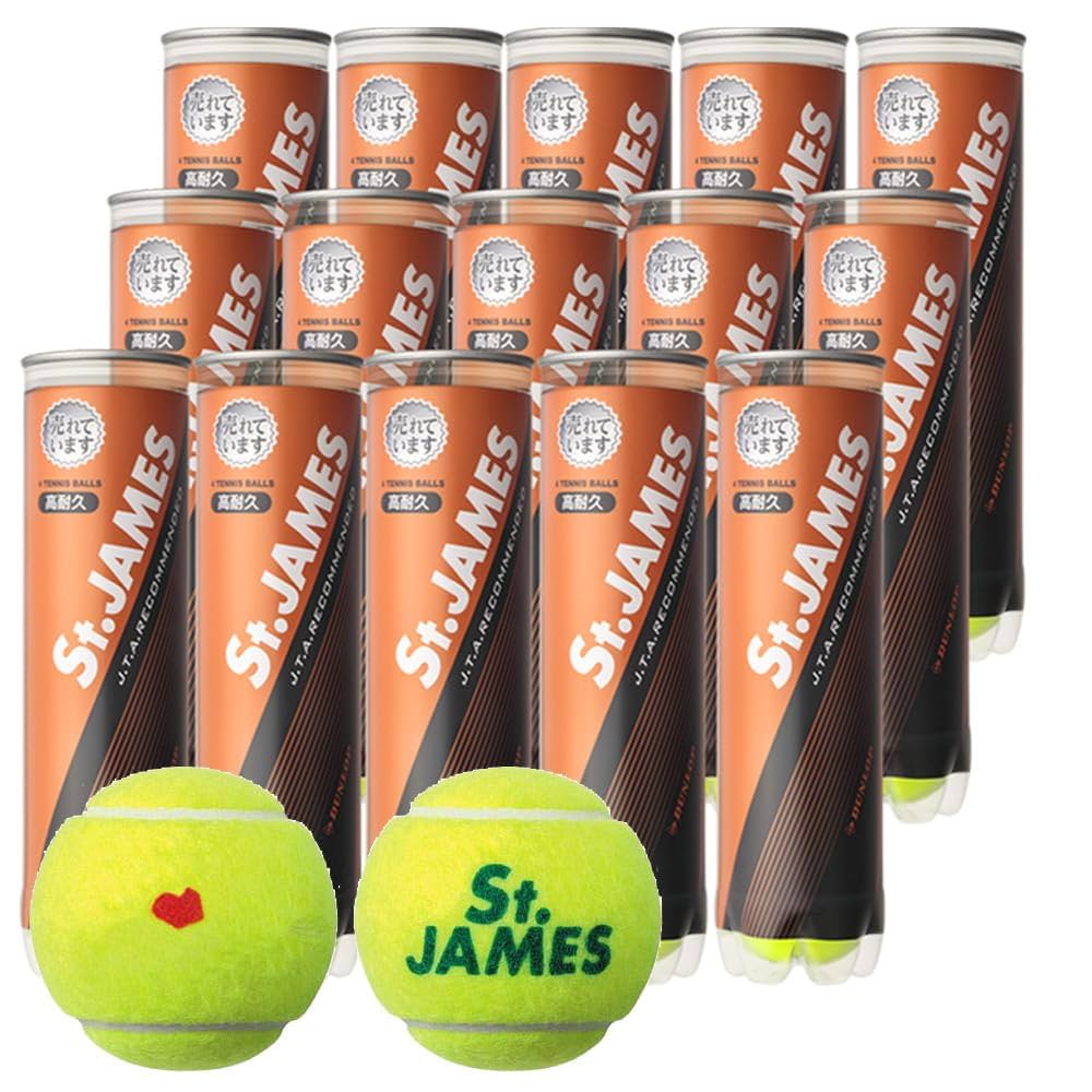 ダンロップ 硬式テニスボール フォート 2球入×30ボトル(60球) 2箱